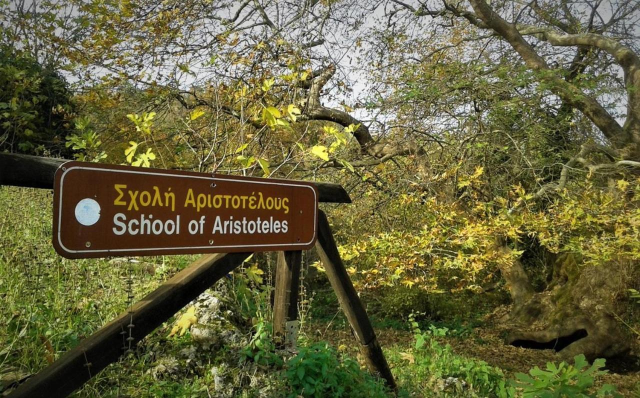 Mylos Arkochorion Bagian luar foto